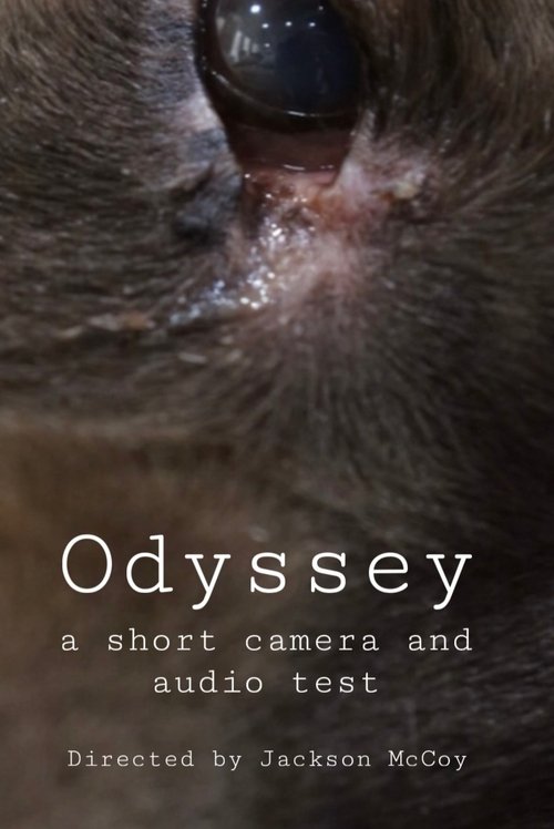 Odyssey - a camera and audio test