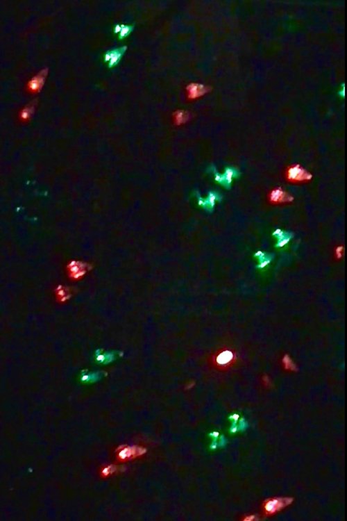 Christmas Elegy for a Summer Day