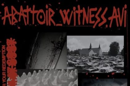 abattoir_witness.AVI