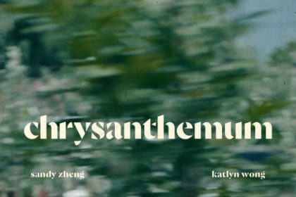 Chrysanthemum